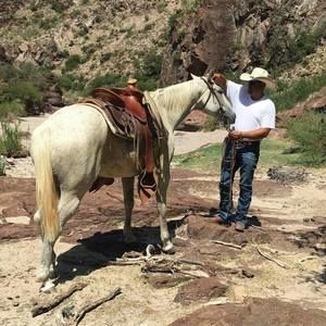 Meet your Posher, Hector